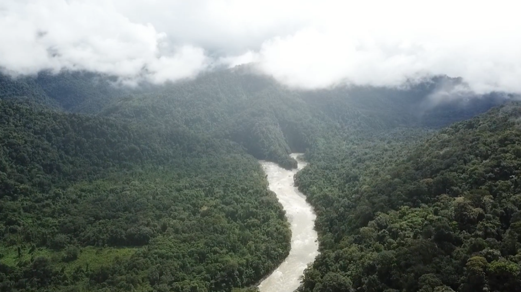 Reverse the tipping point of the Atlantic Forest for mitigation