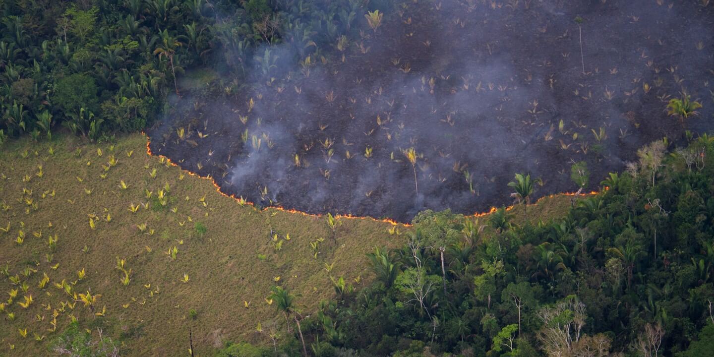 The Air is Unbearable”: Health Impacts of Deforestation-Related Fires in  the Brazilian