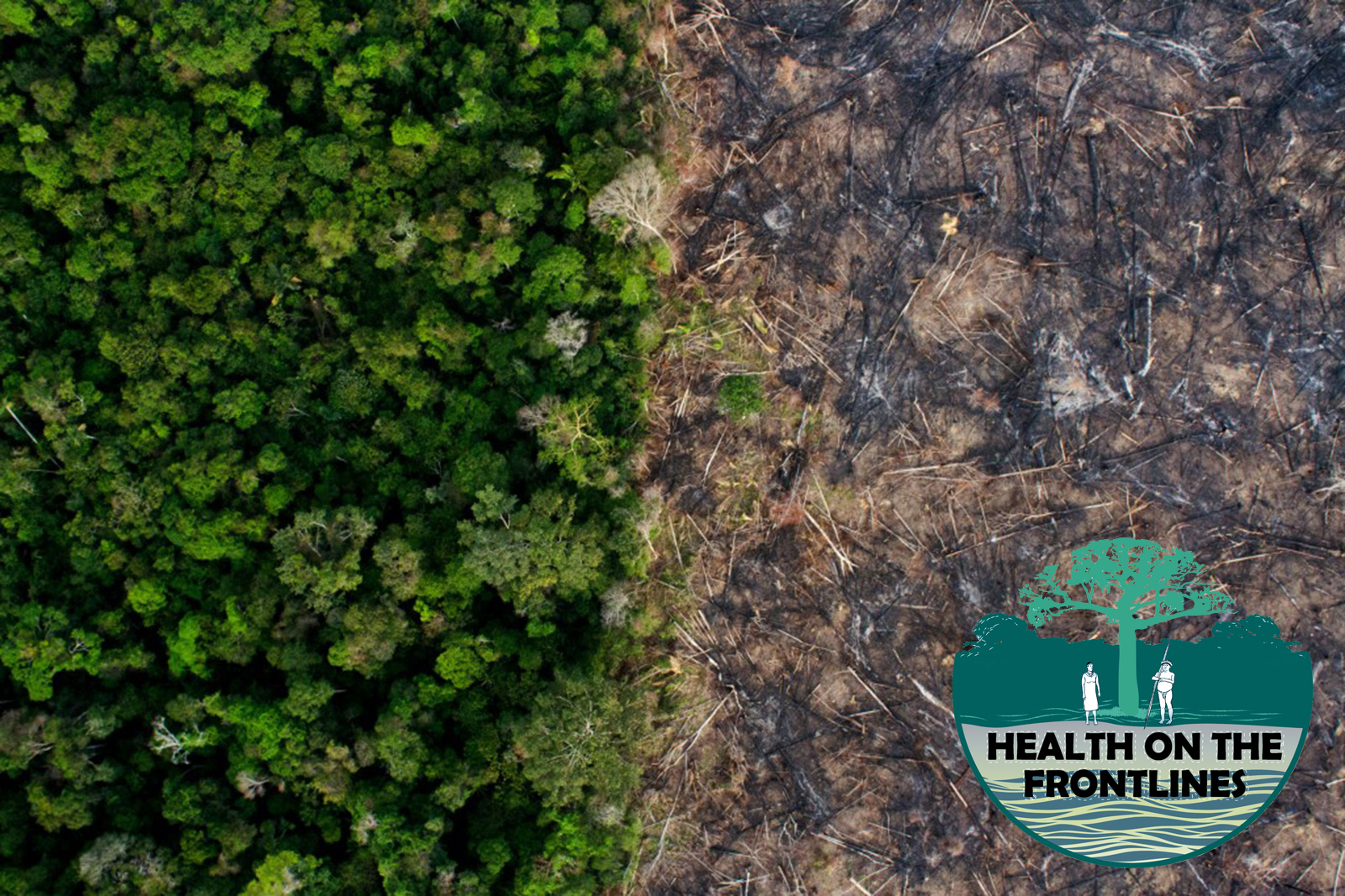 Three Critical Consequences Of The Amazon Fires: Biodiversity Loss, Climate  Change and Health - Amazon Frontlines