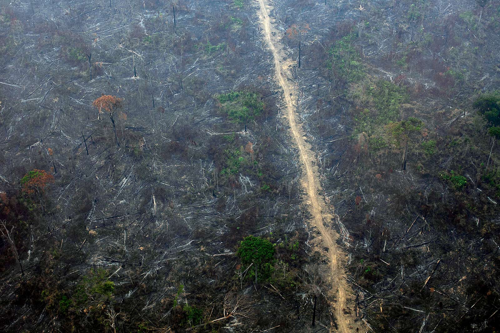 2020 fires endangering uncontacted  Indigenous groups