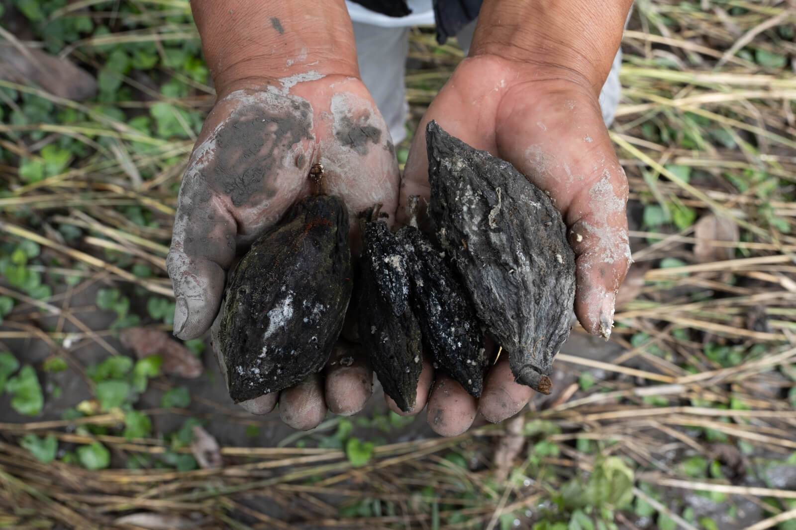 amazon_frontlines_1year_oil_spill_3