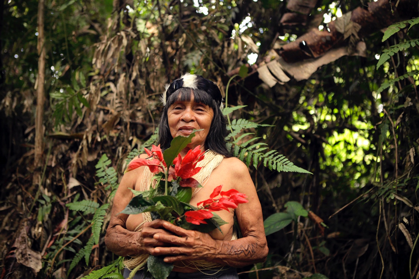 Rain Forest Warriors: How Indigenous Tribes Protect the