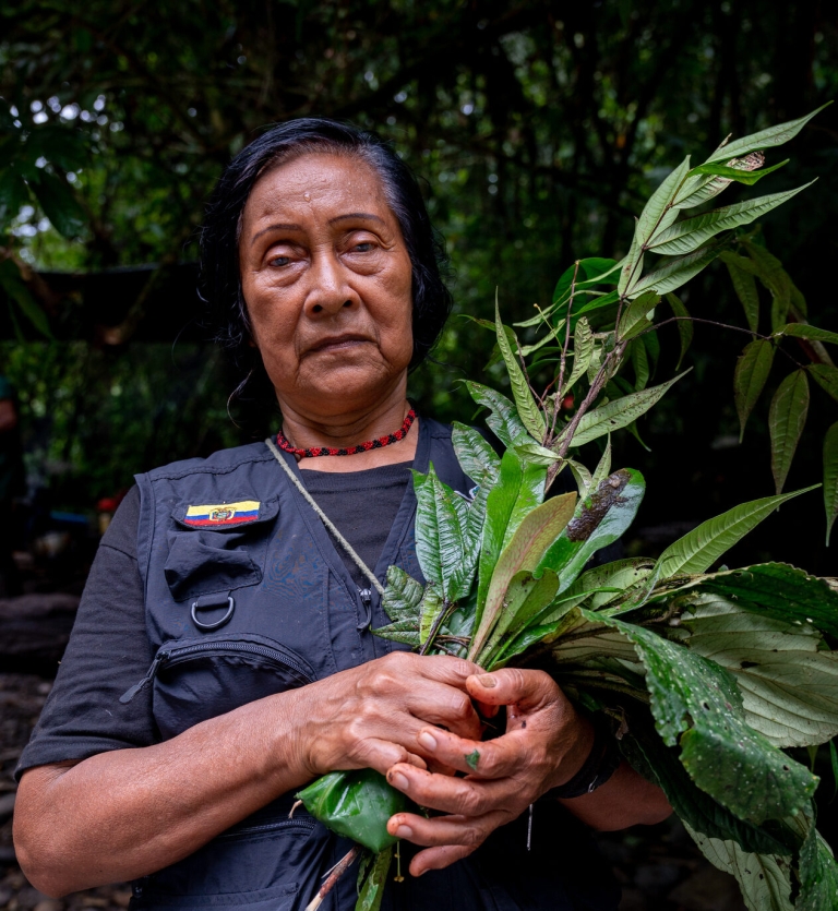 “Little Guardians of the Forest”: An Indigenous Children’s Guard in ...